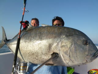 56kg GT (123lb)