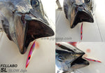 FCLLABO SL Slow Jigs