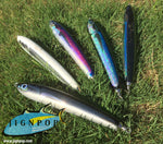 Carpenter Hayabusa 120 (HB120) Lure