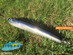 Carpenter Hayabusa 120 (HB120) Lure