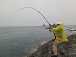 FCLLABO UC10 PRO Surf (Ultimate Casting Professional) Rod