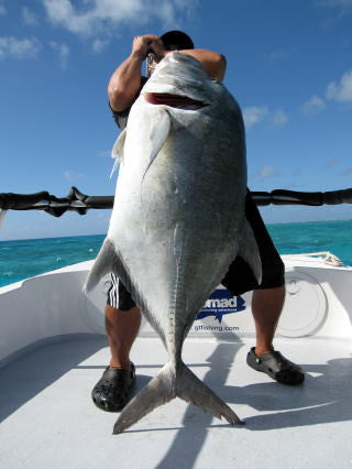 Carpenter Long Reef 88
