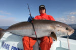 40kg (88lb) Amberjack