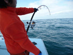Carpenter KLL UPL50/50J-S Rod (Jigging Rod)