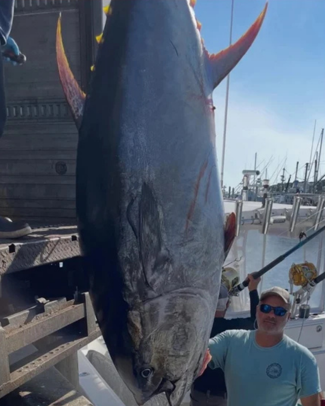 BIG GAME RODS & BLANKS