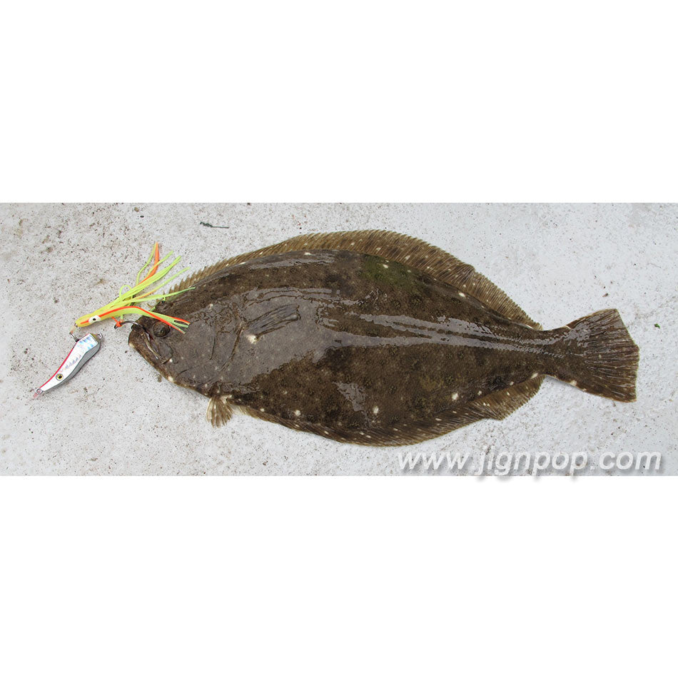 Black Hole USA Taifun-V Rubber Jig