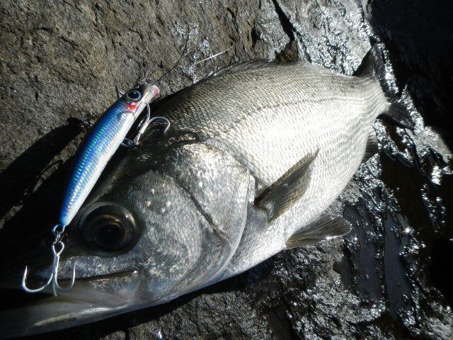 FCLLABO HRTM 200 (Regular & Sinking) Minnow Lure
