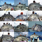 Carpenter Zeus Sinking Stickbaits