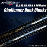 Black Hole USA Challenger Bank Blanks