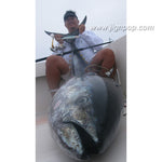 FCLLABO CSP-Sinking Lures