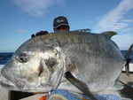 40kg GT (88lb)
