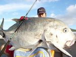 42kg GT (93lb)