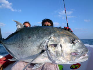 48kg GT (106lb)