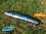 Carpenter Hayabusa 120 (HB120) Lure