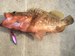 FCLLABO 60 SLC Jig