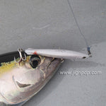 Black Hole USA Calypso Monster Pencil Lure