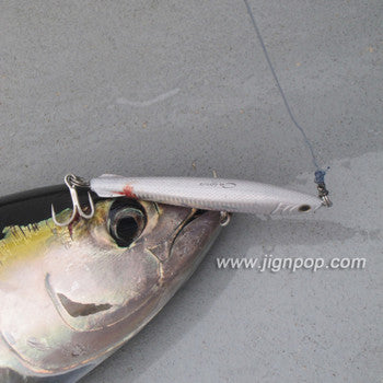Black Hole USA Calypso Monster Pencil Lure