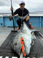 Carpenter KLL Gamma y200-170 Lures