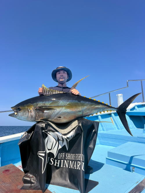 Carpenter Utahime 95-210mm SH / SH-L Lures