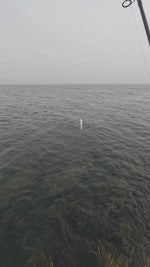 Black Hole USA Striped Bass Special Surf Rods