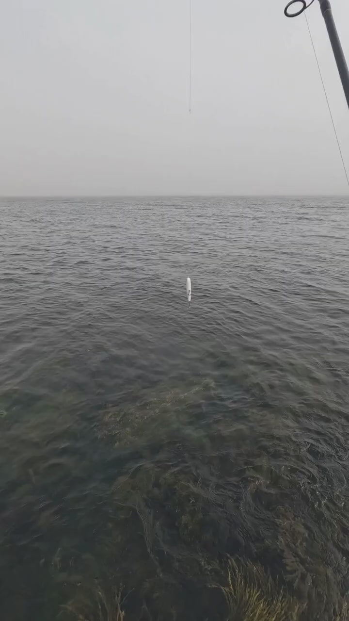 Black Hole USA Striped Bass Special Surf Rods