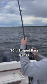 Black Hole USA FISHMANIC Rods