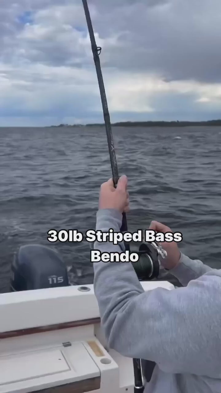 Black Hole USA FISHMANIC Rods
