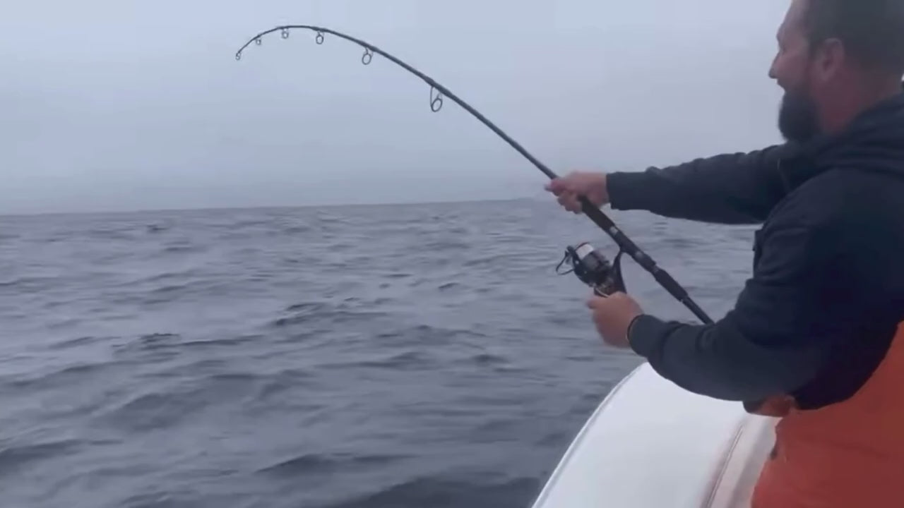 Black Hole USA Giant Flex 75 Popping Rod
