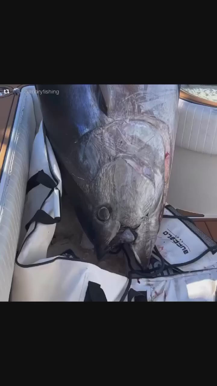 Black Hole USA Giant Flex 75 Popping Rod
