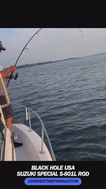 Black Hole USA Suzuki Special Inshore Blanks