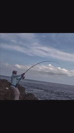 Black Hole USA 12', 13' Surf II Heavy Conventional Rods