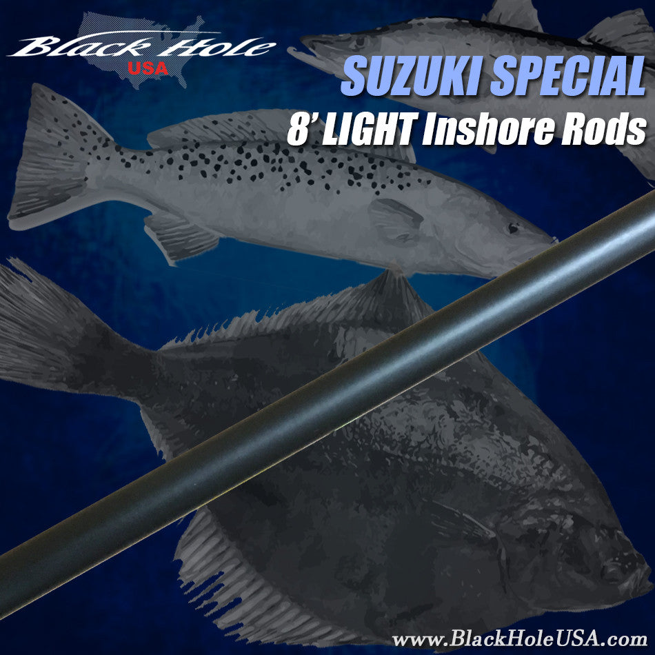 Black Hole USA Suzuki Special Inshore Blanks