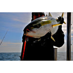 Nature Boys Swim Rider Short Jigs