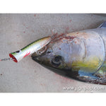 Heru TUNA Lure