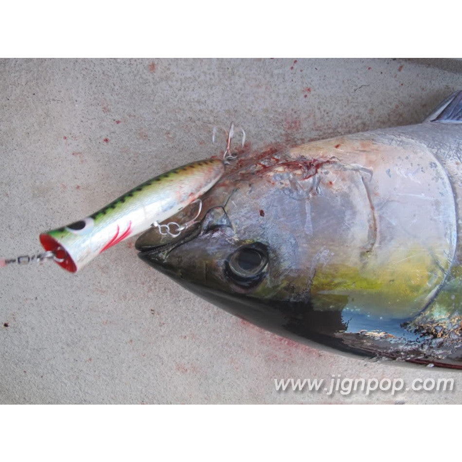 Heru TUNA Lure