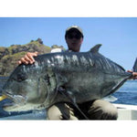 Carpenter WV80XH Rod